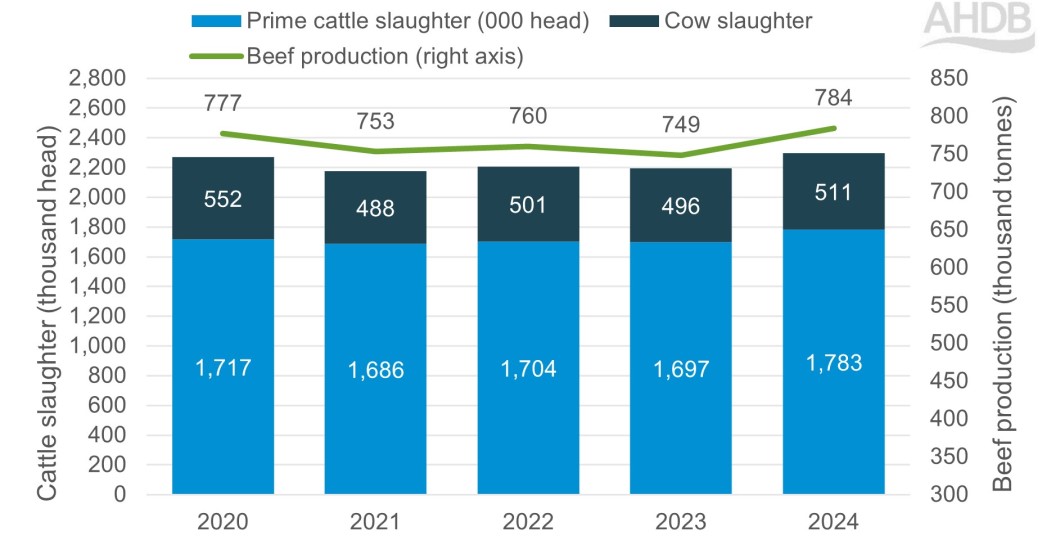 Chart showing UK beef production and cattle slaughter Jan-Oct